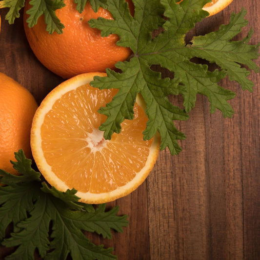 Natural Incense - Citronella & Palo Santo