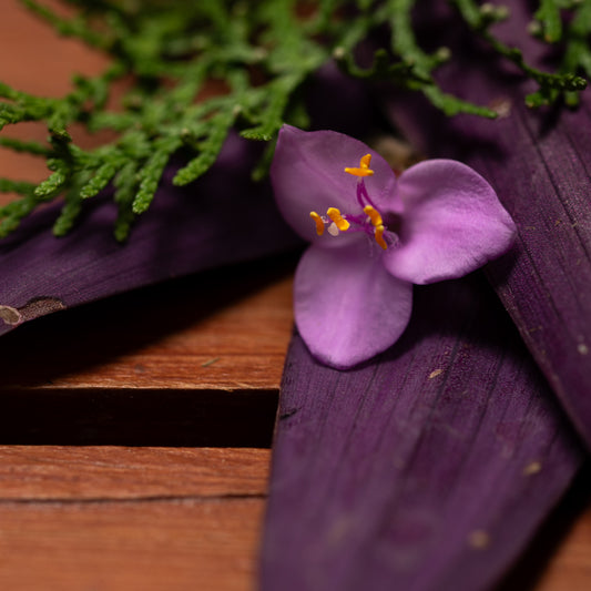 Natural Incense - Patchouli