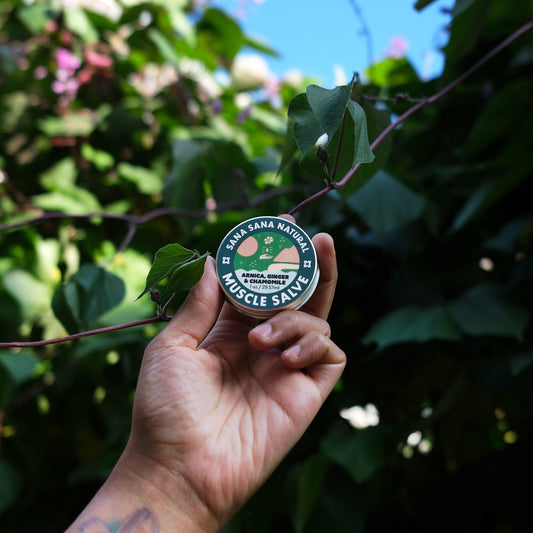 Arnica Salve